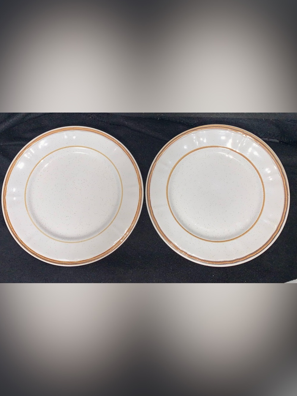 Handpainted Americana Hearthside Heritage Stoneware Dinner Plates Set of (2)